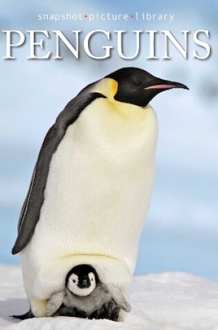 Cover of Penguins