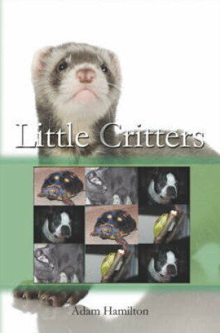 Cover of Little Critters