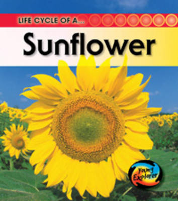 Cover of Life Cycle of a Sunflower