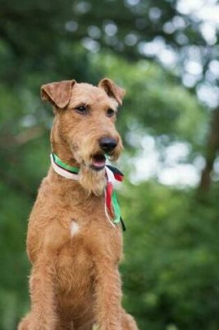 Cover of Irish Terrier