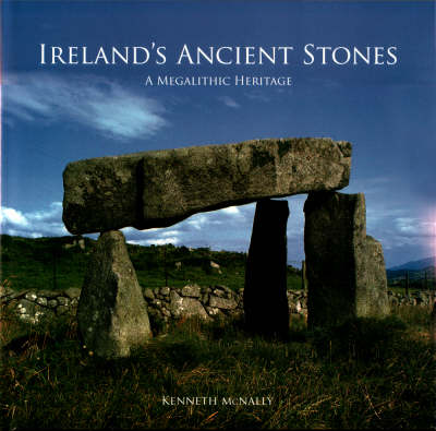 Book cover for Ireland's Ancient Stones