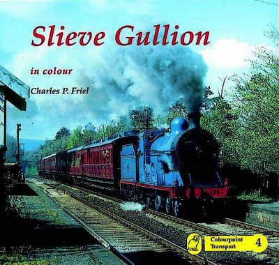 Book cover for Slieve Gullion