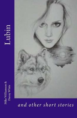 Book cover for Lubin