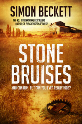 Cover of Stone Bruises