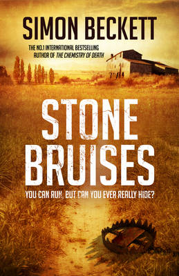 Book cover for Stone Bruises