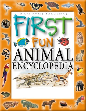 Book cover for First Fun