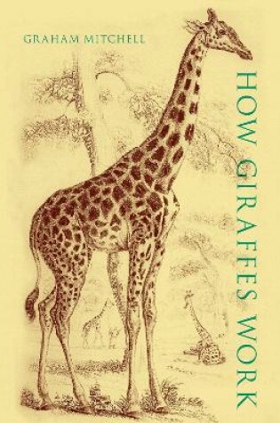 Cover of How Giraffes Work