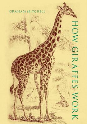 Book cover for How Giraffes Work