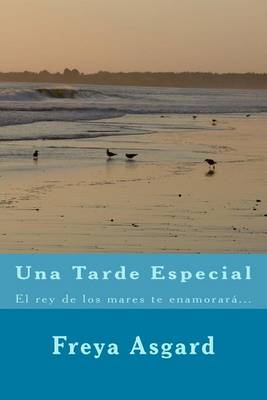 Book cover for Una Tarde Especial