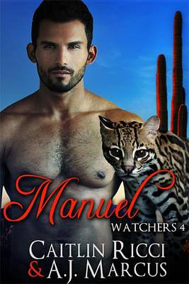 Book cover for Manuel