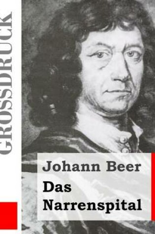 Cover of Das Narrenspital (Grossdruck)