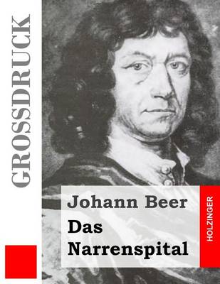 Book cover for Das Narrenspital (Grossdruck)