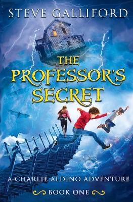 Book cover for The Professor's Secret