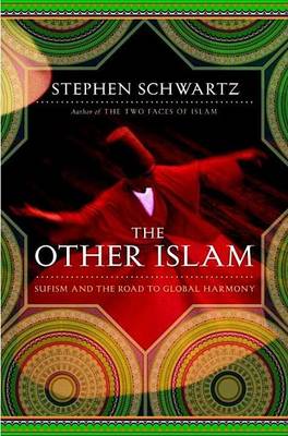 Book cover for Other Islam