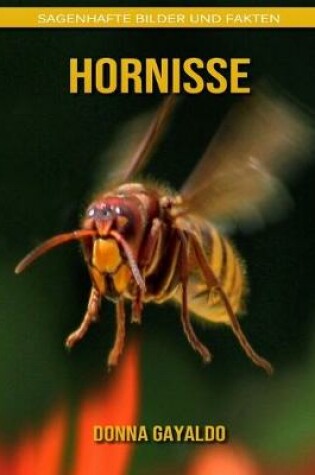 Cover of Hornisse