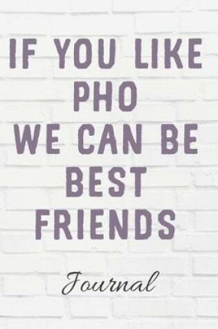 Cover of If You Like Pho We Can Be Best Friends Journal