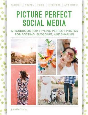 Book cover for Picture Perfect Social Media