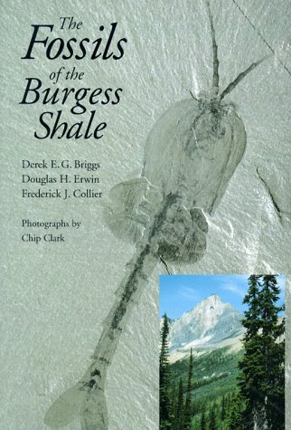 Book cover for The Fossils of the Burgess Shale