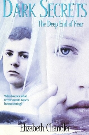 Cover of The Deep End of Fear