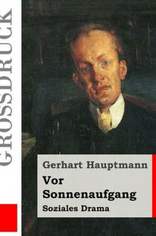 Cover of Vor Sonnenaufgang (Grossdruck)