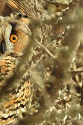 Cover of Long Eared Owls Notebook