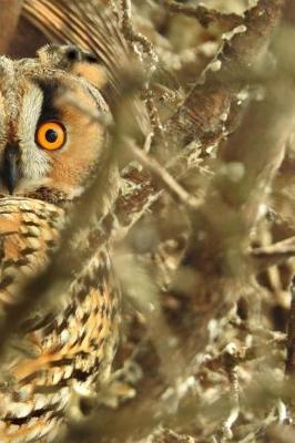 Book cover for Long Eared Owls Notebook