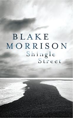 Book cover for Shingle Street