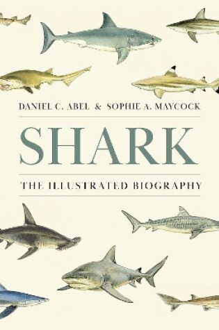 Cover of Shark