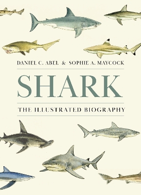 Book cover for Shark