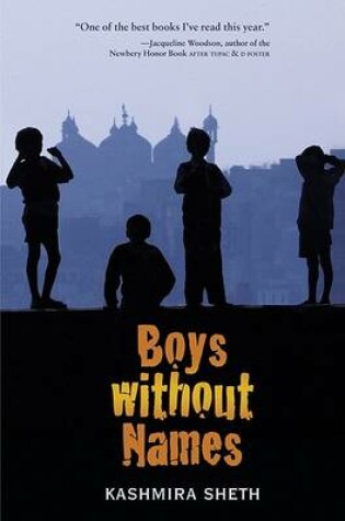 Cover of BOYS WITHOUT NAMES