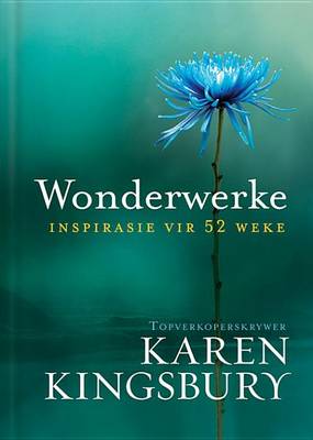 Book cover for Wonderwerke