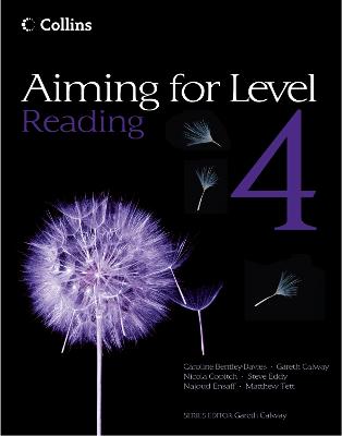 Book cover for Level 4 Reading