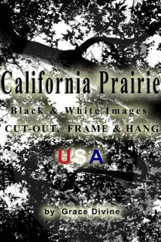 Cover of California Prairie Black & White Images Cut-out, Frame & Hang USA
