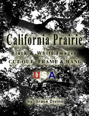 Book cover for California Prairie Black & White Images Cut-out, Frame & Hang USA