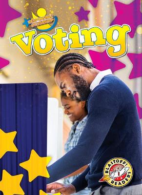 Book cover for Voting