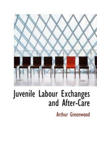 Cover of Juvenile Labour Exchanges and After-Care