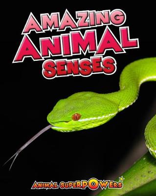Book cover for Amazing Animal Senses