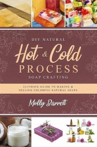 Cover of DIY Natural Hot & Cold Process Soap Crafting