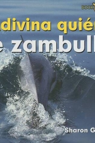 Cover of Adivina Quién Se Zambulle (Guess Who Dives)