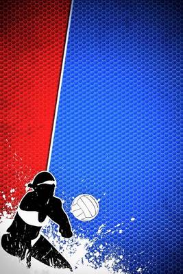 Book cover for Volleyball Sports Journal Three