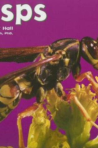 Cover of Wasps