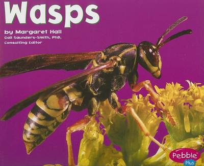 Book cover for Wasps