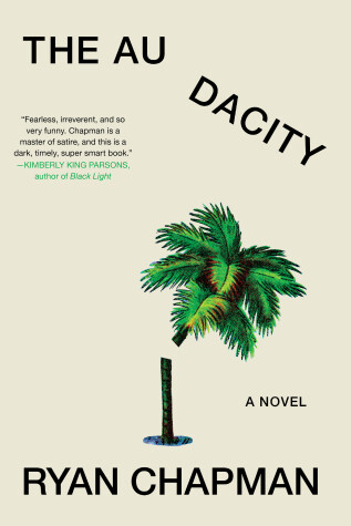 Book cover for The Audacity