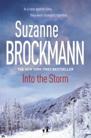 Cover of Into the Storm: Troubleshooters 10