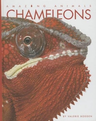 Book cover for Chameleons