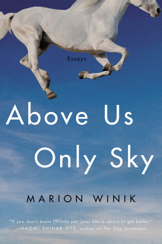 Cover of Above Us Only Sky