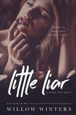 Cover of Little Liar