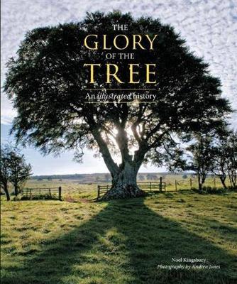 Book cover for The Glory of the Tree