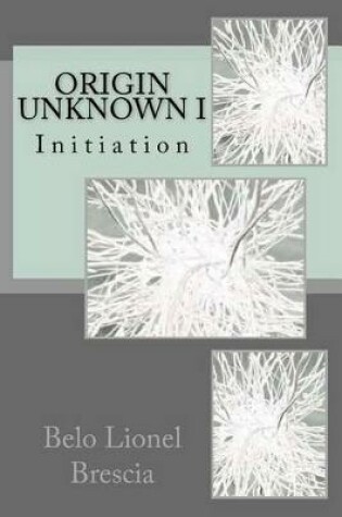 Cover of Origin Unknown I