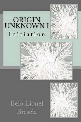 Book cover for Origin Unknown I